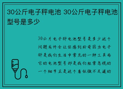 30公斤电子秤电池 30公斤电子秤电池型号是多少